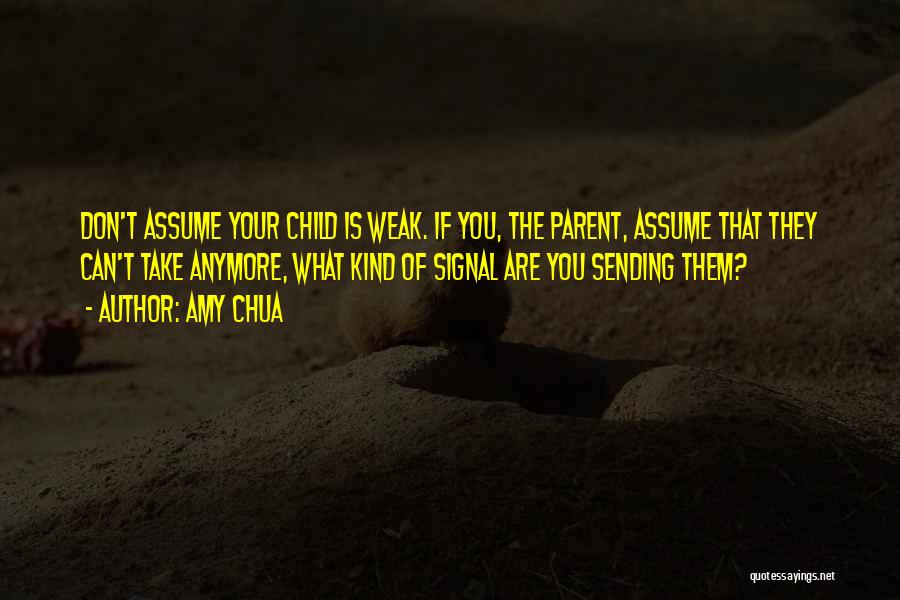 Don't Assume Quotes By Amy Chua