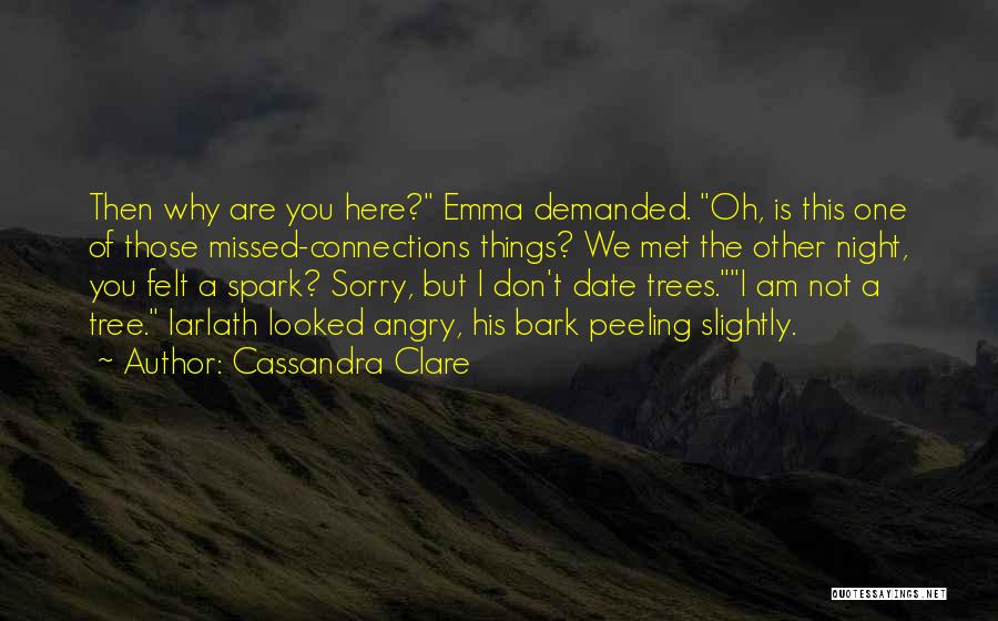 Don't Bark Quotes By Cassandra Clare
