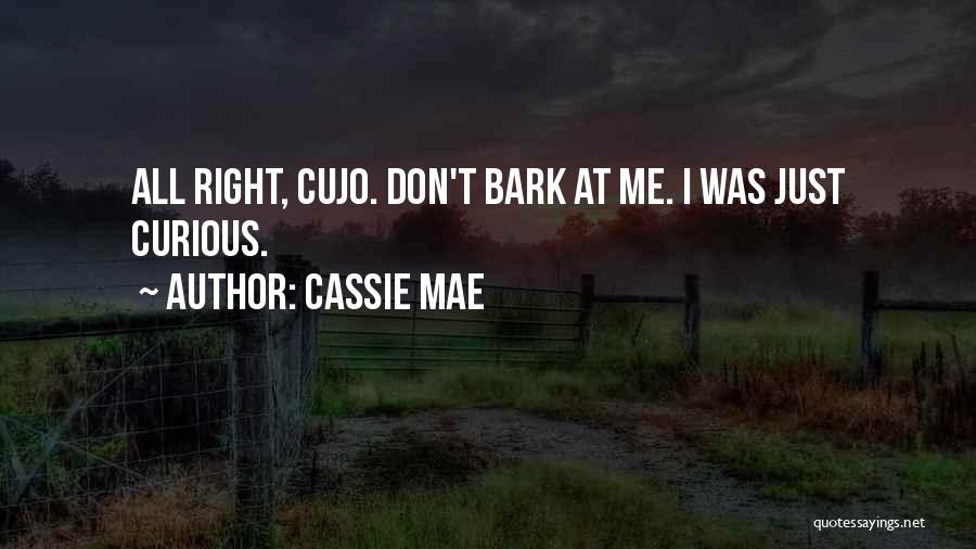 Don't Bark Quotes By Cassie Mae