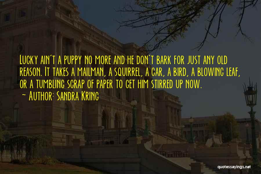 Don't Bark Quotes By Sandra Kring