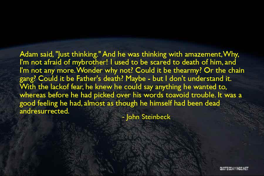 Don't Be Afraid Of Death Quotes By John Steinbeck