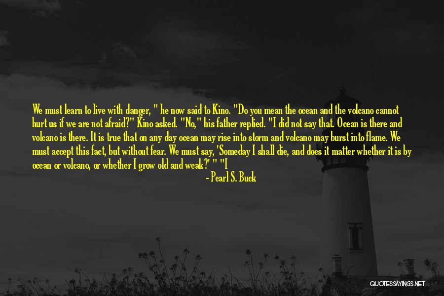 Don't Be Afraid Of Death Quotes By Pearl S. Buck