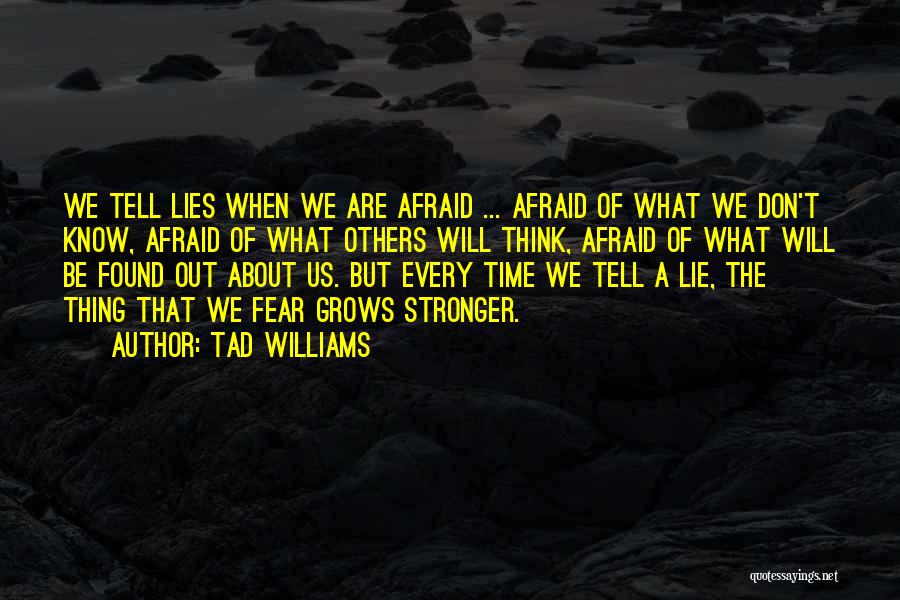 Don't Be Afraid Quotes By Tad Williams