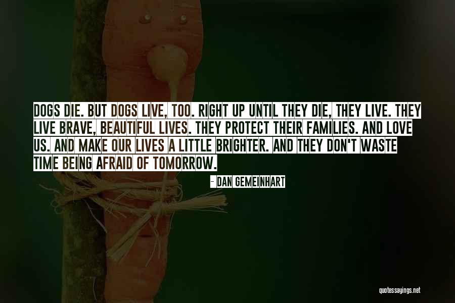 Don't Be Afraid To Die Quotes By Dan Gemeinhart Don't Be Afraid To Die Quotes By Dan Gemeinhart