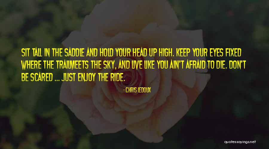 Don't Be Afraid To Live Quotes By Chris LeDoux