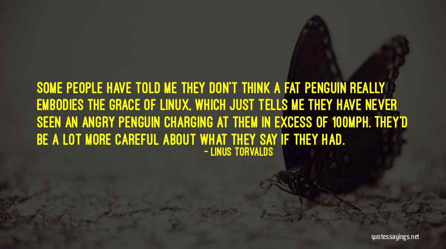 Don't Be Angry At Me Quotes By Linus Torvalds