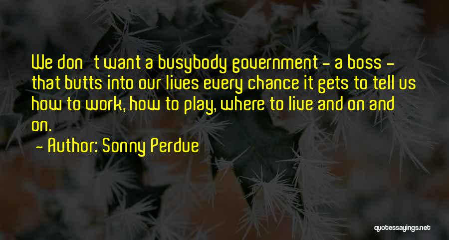 Don't Be Busybody Quotes By Sonny Perdue