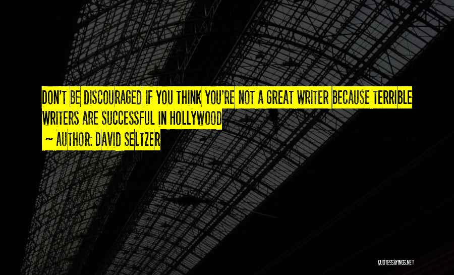 Don't Be Discouraged Quotes By David Seltzer