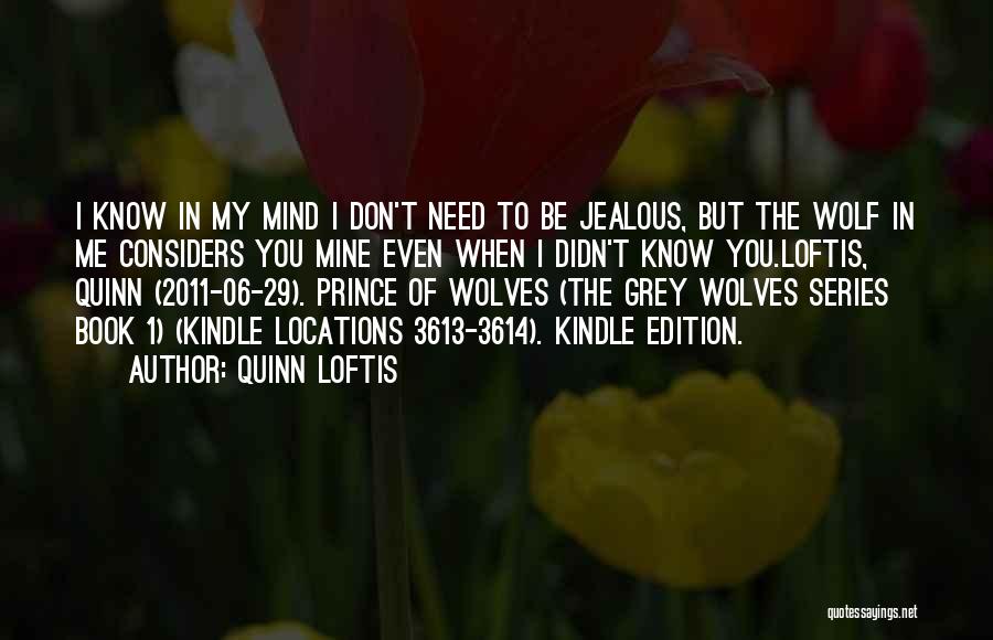 Don't Be Jealous Of Others Quotes By Quinn Loftis