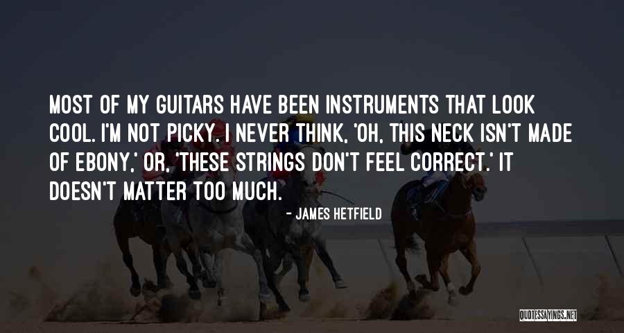 Don't Be Picky Quotes By James Hetfield Don't Be Picky Quotes By James Hetfield