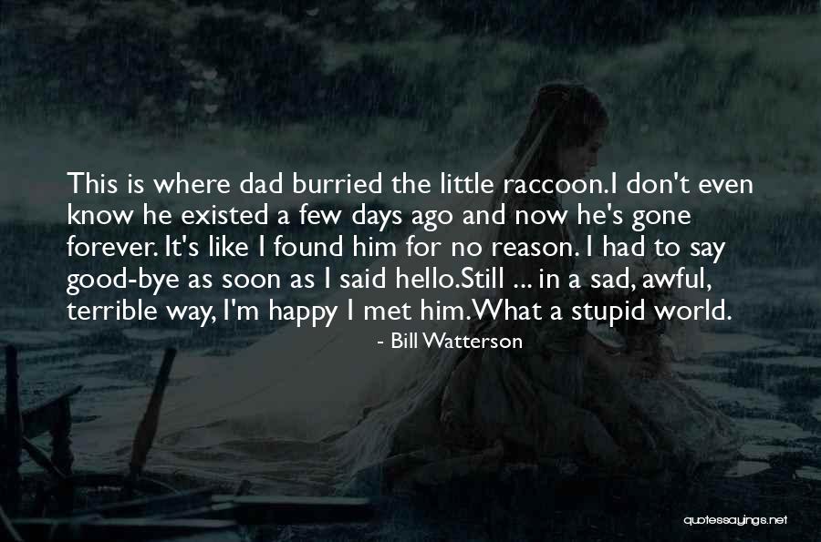 Don't Be Sad Its Over Quotes By Bill Watterson