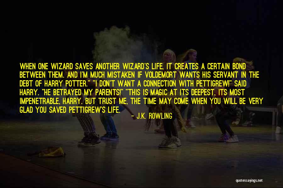 Dont Be Shy Quotes By J.K. Rowling Dont Be Shy Quotes By J.K. Rowling