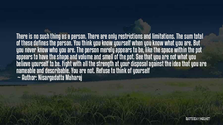 Don't Believe All You See Quotes By Nisargadatta Maharaj