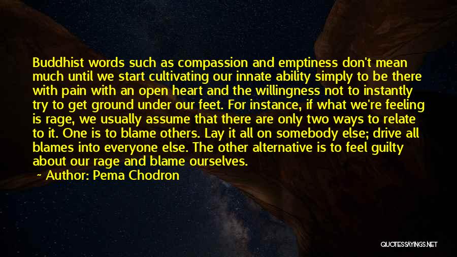 Don't Blame Somebody Else Quotes By Pema Chodron