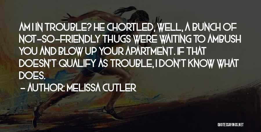 Don't Blow Up Quotes By Melissa Cutler