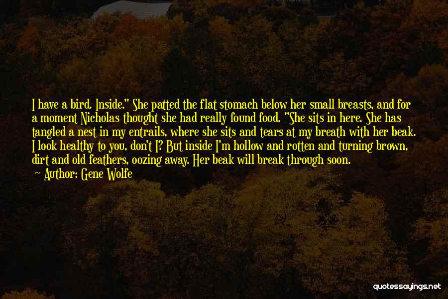Don't Break Her Quotes By Gene Wolfe