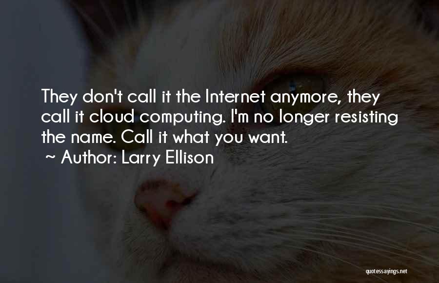 Don't Call Me Anymore Quotes By Larry Ellison