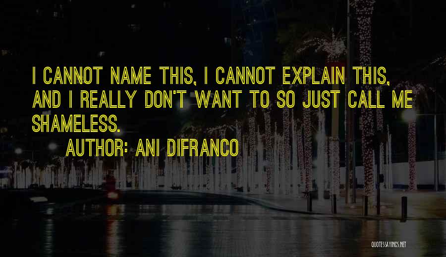 Don't Call Me Names Quotes By Ani DiFranco