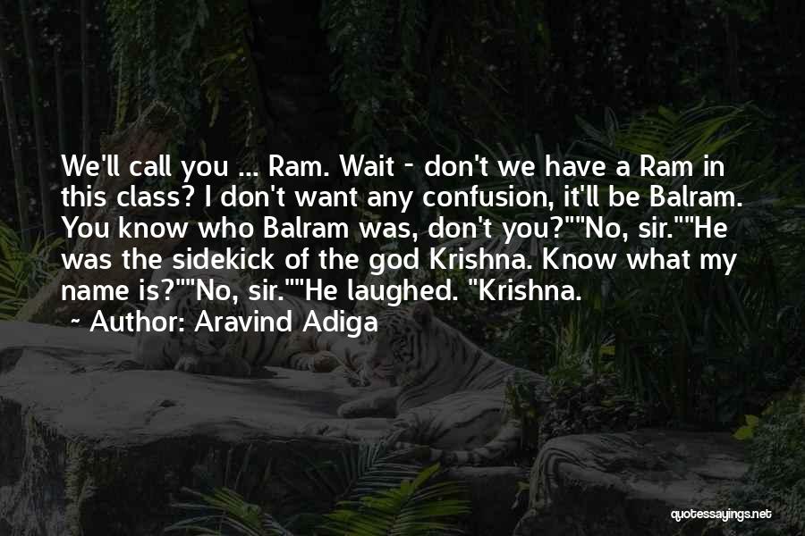 Don't Call Me Names Quotes By Aravind Adiga