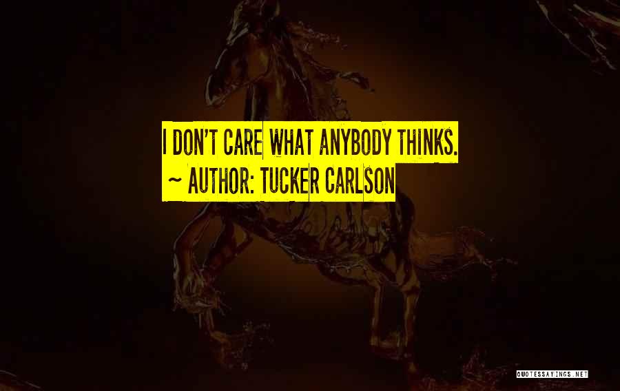 Don't Care Anybody Quotes By Tucker Carlson