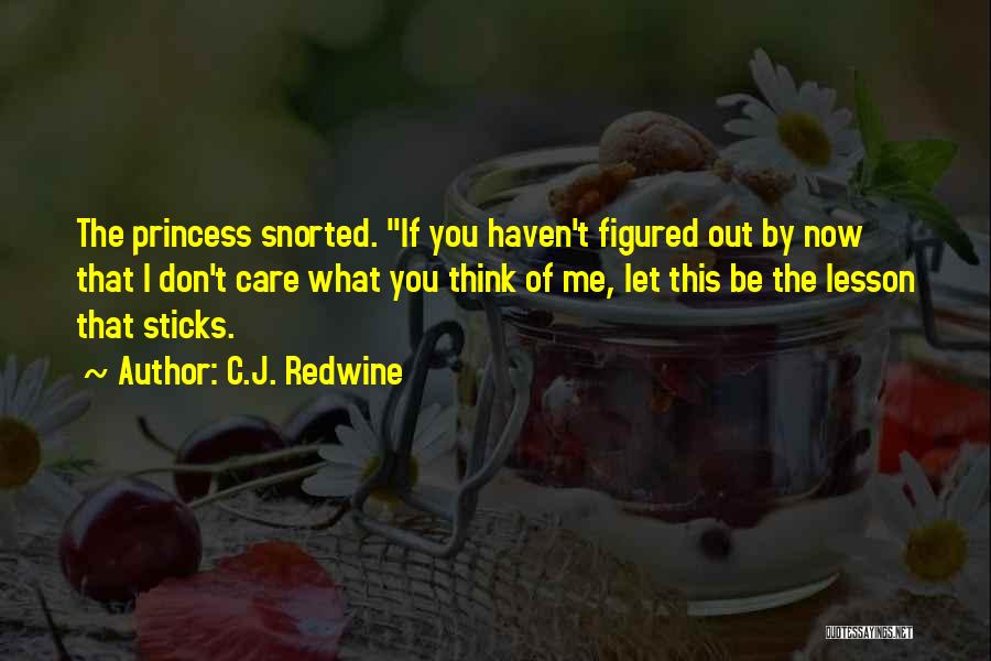 Don't Care What You Think Quotes By C.J. Redwine