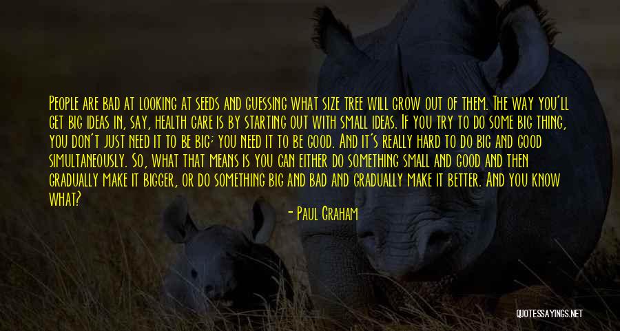 Don't Care What You Think Quotes By Paul Graham