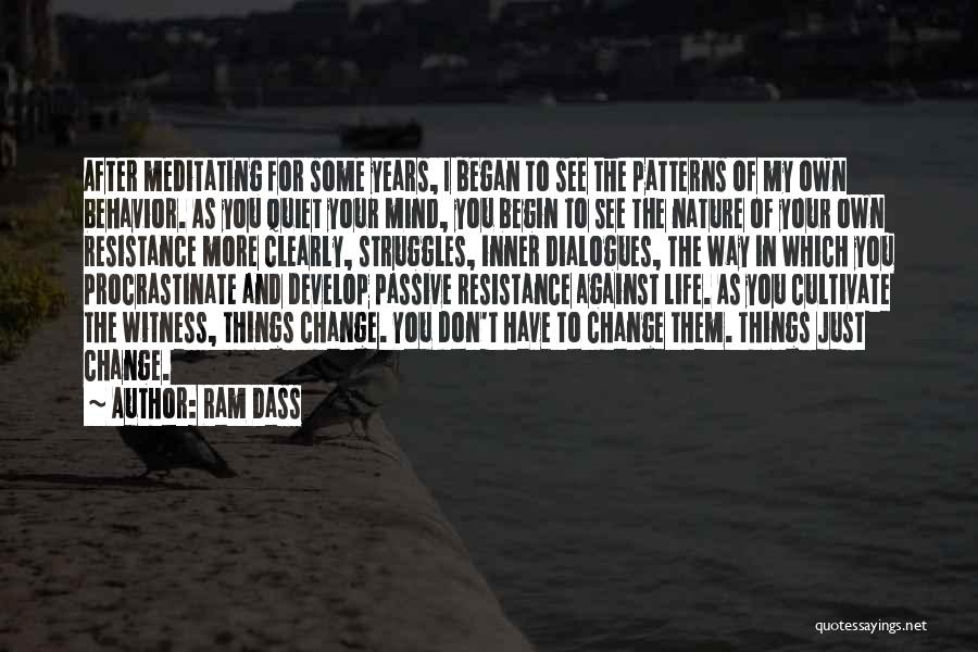 Don't Change Your Mind Quotes By Ram Dass