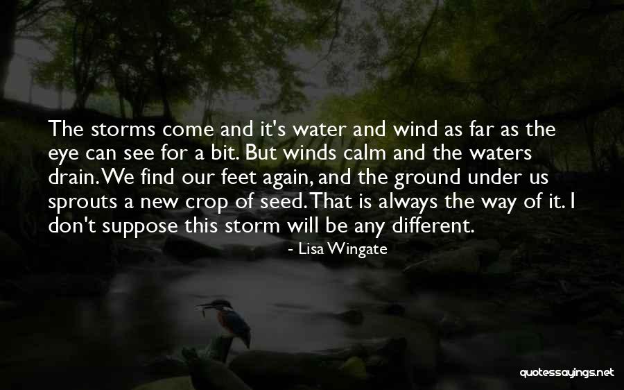 Don't Come Again Quotes By Lisa Wingate Don't Come Again Quotes By Lisa Wingate