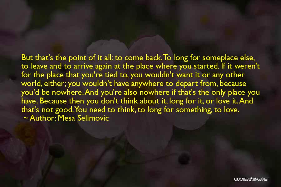 Don't Come Back Again Quotes By Mesa Selimovic