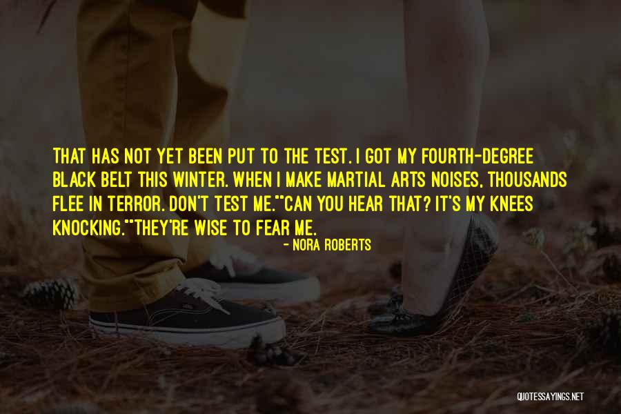 Don't Come Knocking Quotes By Nora Roberts