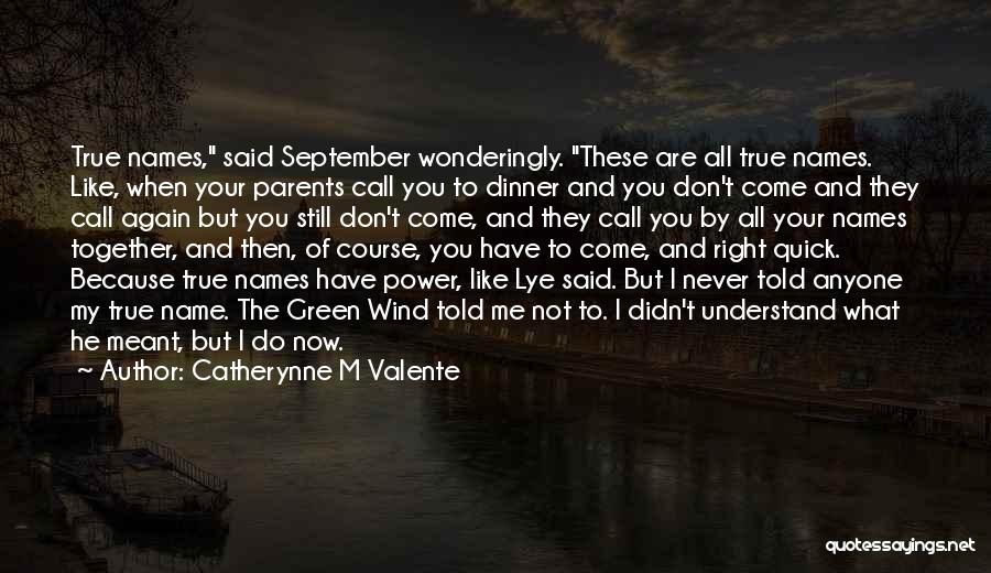 Don't Come To Me Again Quotes By Catherynne M Valente