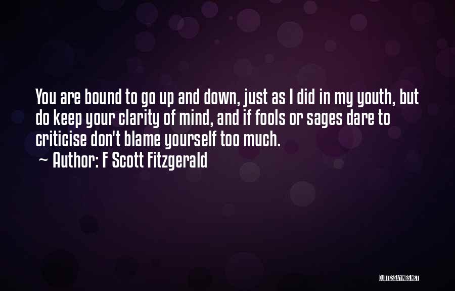 Don't Criticise Others Quotes By F Scott Fitzgerald