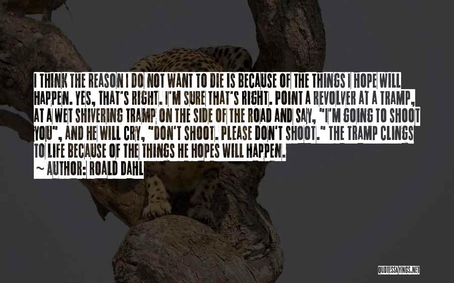 Don't Cry Because Quotes By Roald Dahl