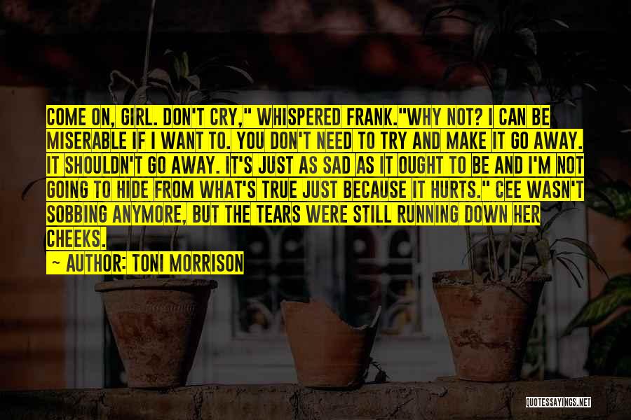 Don't Cry Because Quotes By Toni Morrison