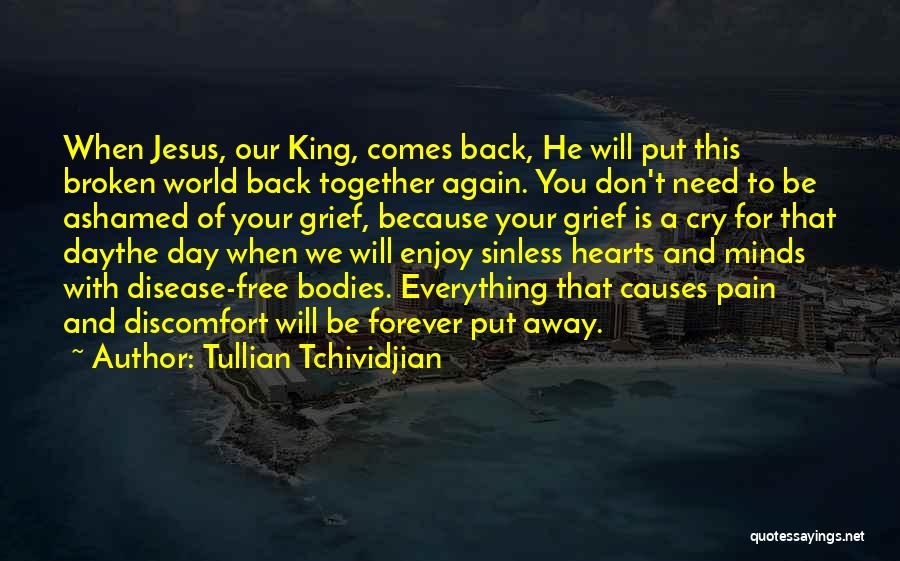 Don't Cry Because Quotes By Tullian Tchividjian