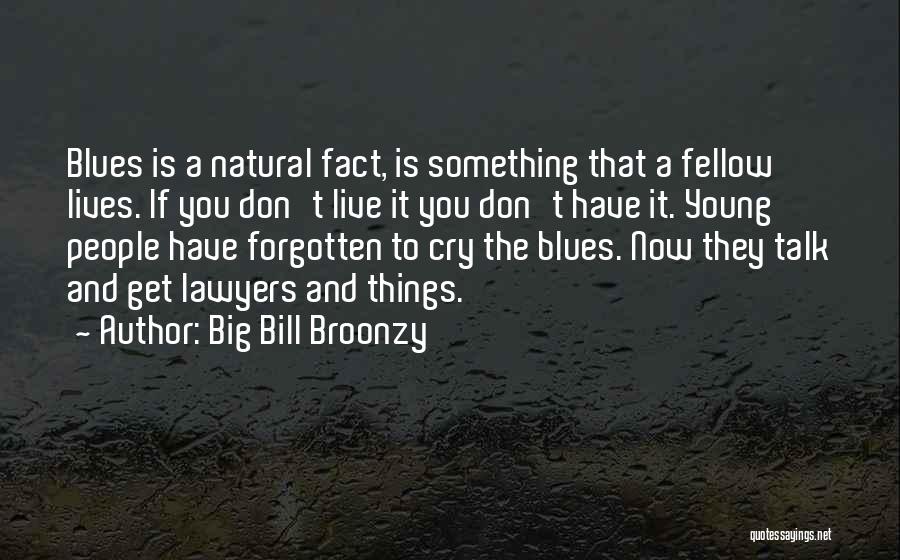 Don't Cry Over Him Quotes By Big Bill Broonzy