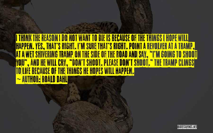Don't Cry When I Die Quotes By Roald Dahl