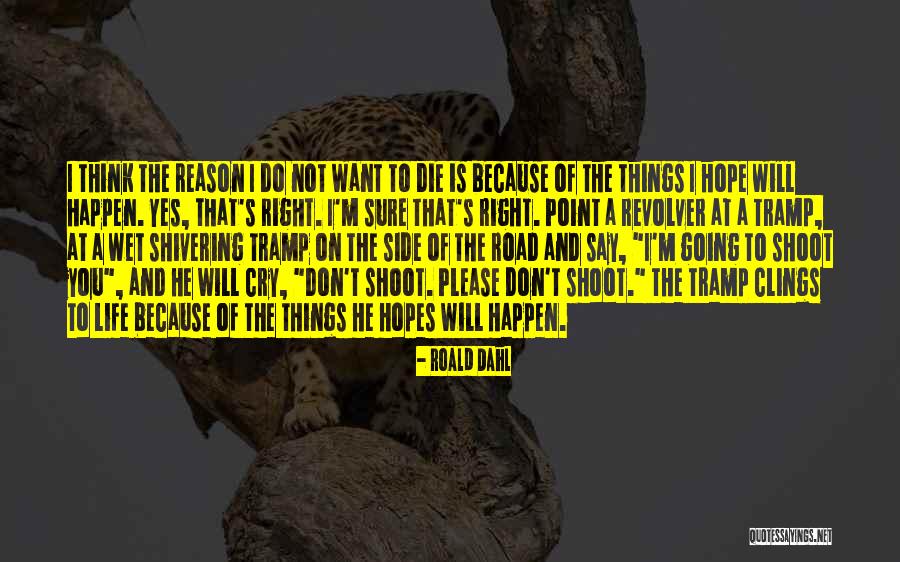 Don't Cry When I Die Quotes By Roald Dahl Don't Cry When I Die Quotes By Roald Dahl