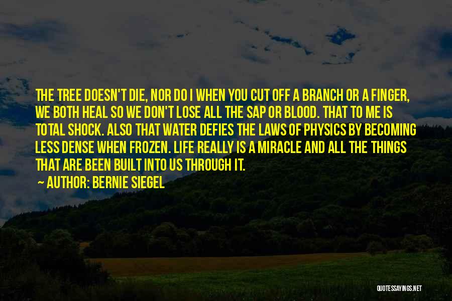 Don't Cut Me Off Quotes By Bernie Siegel
