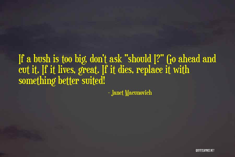 Don't Cut Quotes By Janet Macunovich Don't Cut Quotes By Janet Macunovich