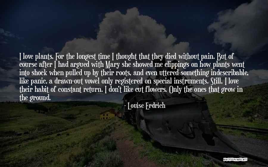 Don't Cut Quotes By Louise Erdrich Don't Cut Quotes By Louise Erdrich