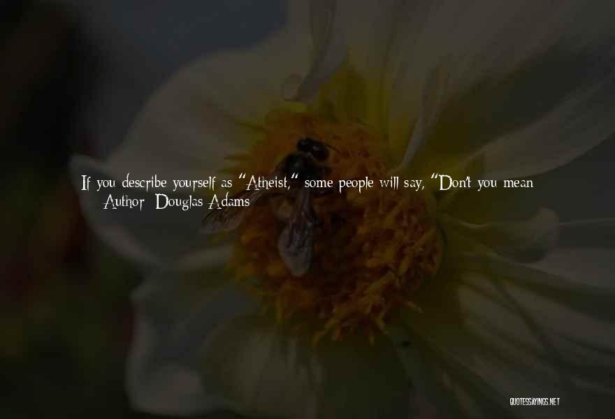 Don't Describe Yourself Quotes By Douglas Adams