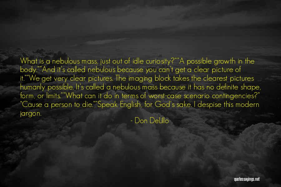 Don't Despise Quotes By Don DeLillo