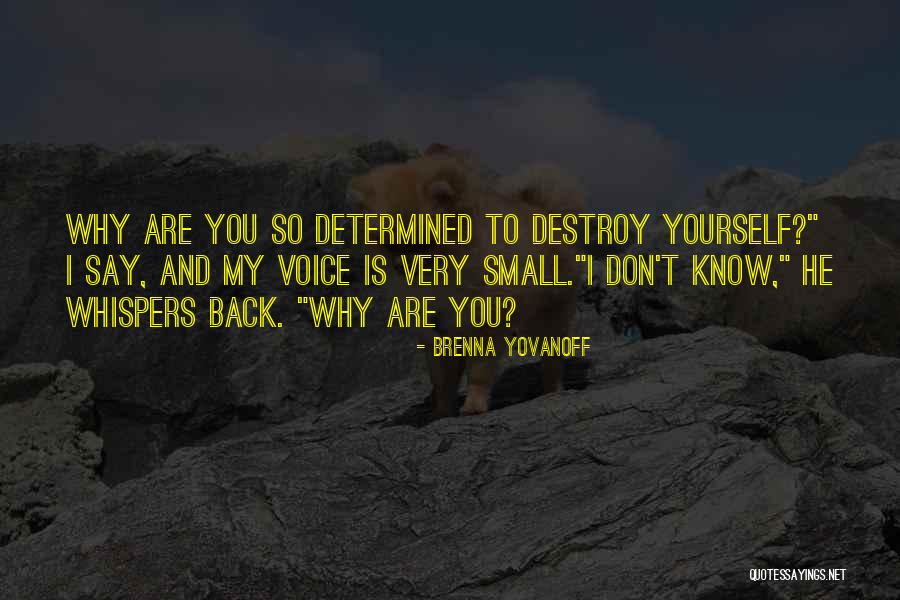 Don't Destroy Yourself Quotes By Brenna Yovanoff Don't Destroy Yourself Quotes By Brenna Yovanoff