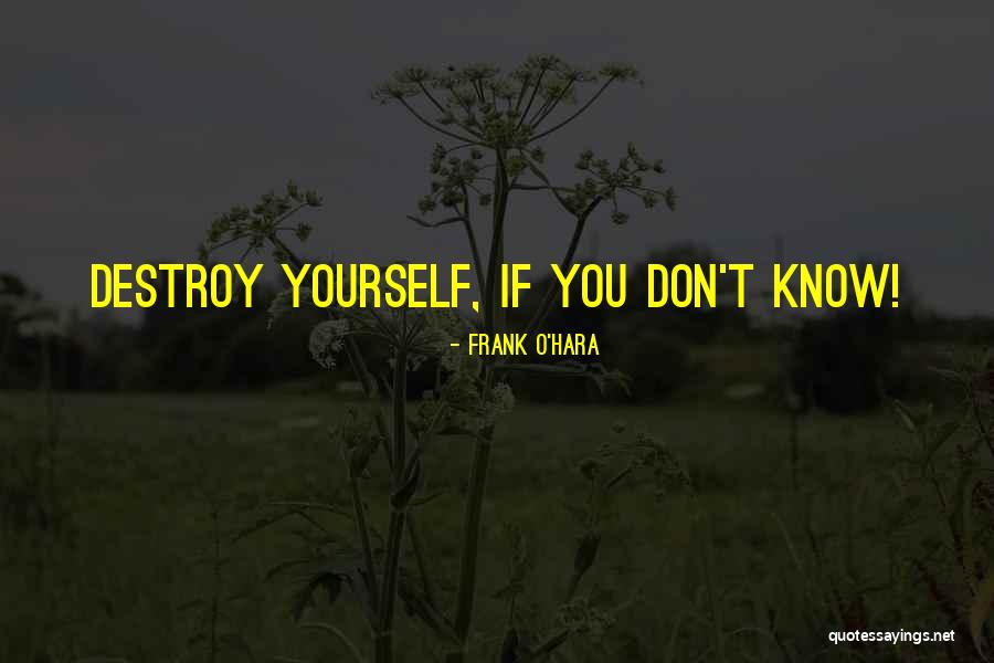 Don't Destroy Yourself Quotes By Frank O'Hara