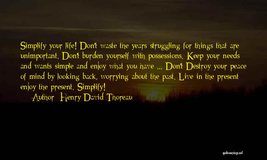 Don't Destroy Yourself Quotes By Henry David Thoreau