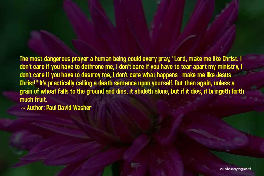 Don't Destroy Yourself Quotes By Paul David Washer