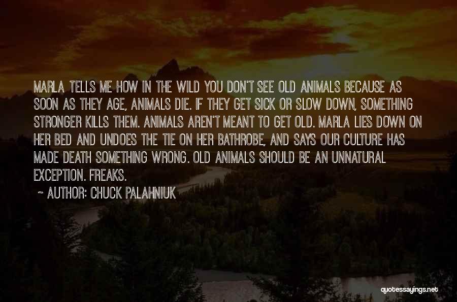 Don't Die Quotes By Chuck Palahniuk