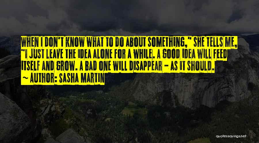 Don't Disappear Quotes By Sasha Martin