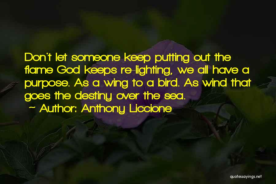 Don't Discourage Quotes By Anthony Liccione